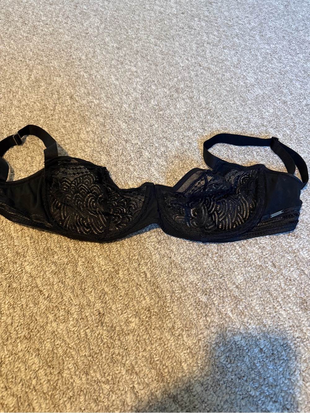 Sheer Lace Underwire Bra in Black